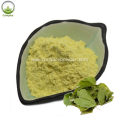 Supply Organic Icariin Extract Powder Iicariin 98%